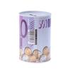 Tinplate Cylinder Piggy Bank Euro Dollar Picture Box Household Saving Money Box