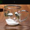 Heat-Resistant Double-Walled Glass Cup with Real Dried Flowers