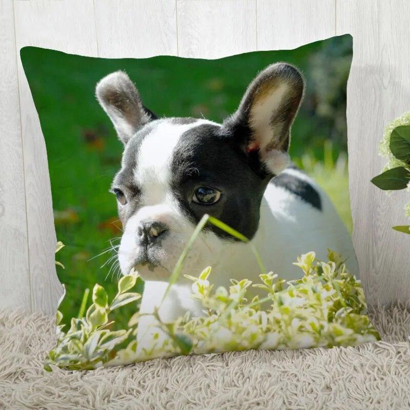 Pillowcase Bulldog  Modern Home Living Room Decoration