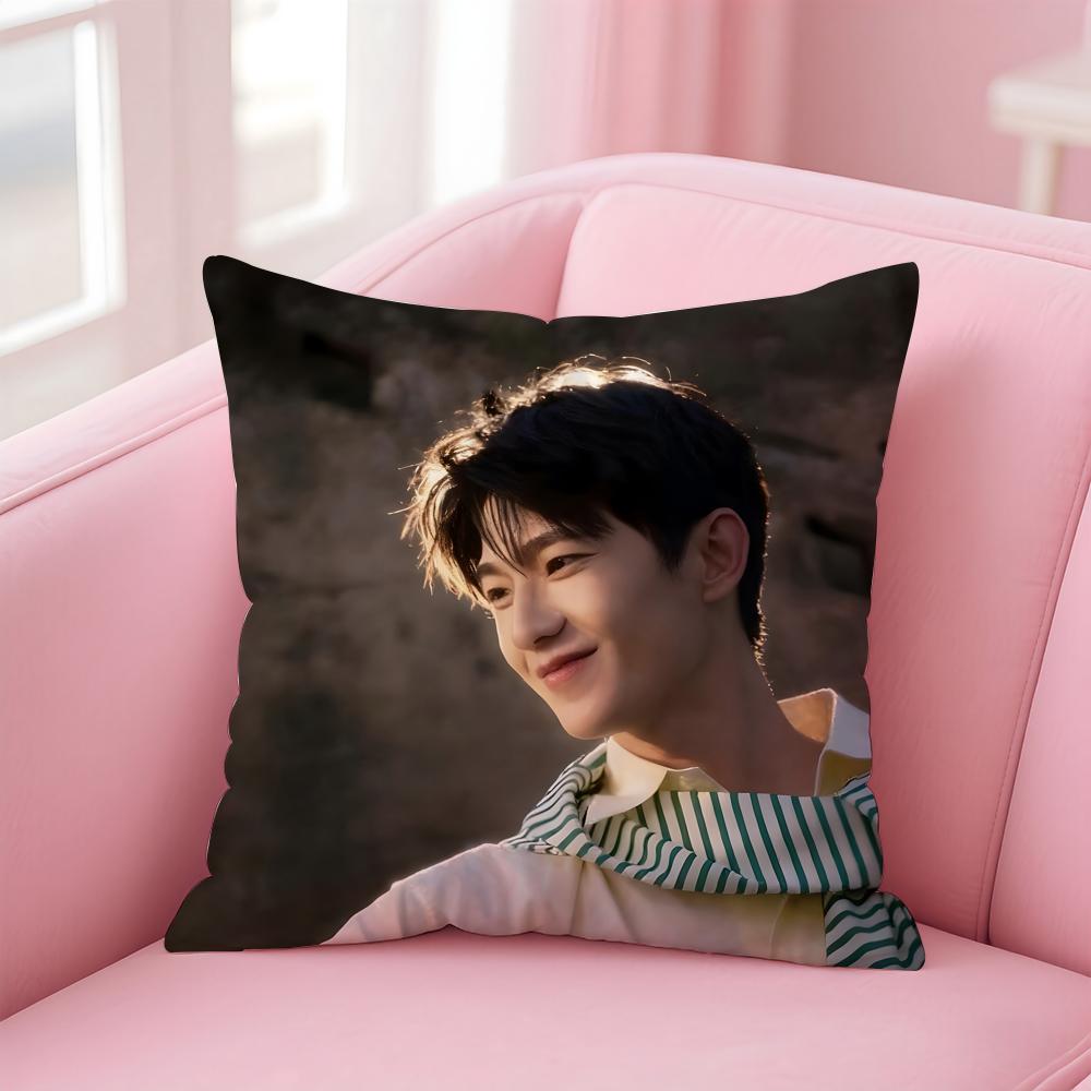 actor handsome YYang Yang Cushion Cover Pillow Case Soft Skin Friendly Fabric  Concealed Zipper