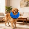 Inflatable Dog Cone Collar Waterproof Breathable Removable Inner Pillow Soft Inflatable Cone For Recovery Pet Indoor Outdoor
