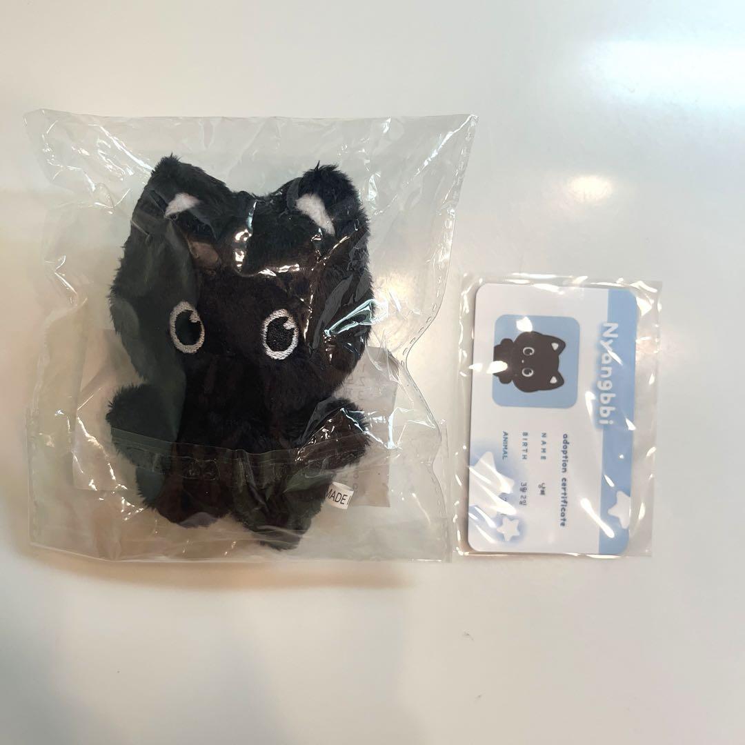 

[USED] RIIZE Rise Won Bin Plush Doll