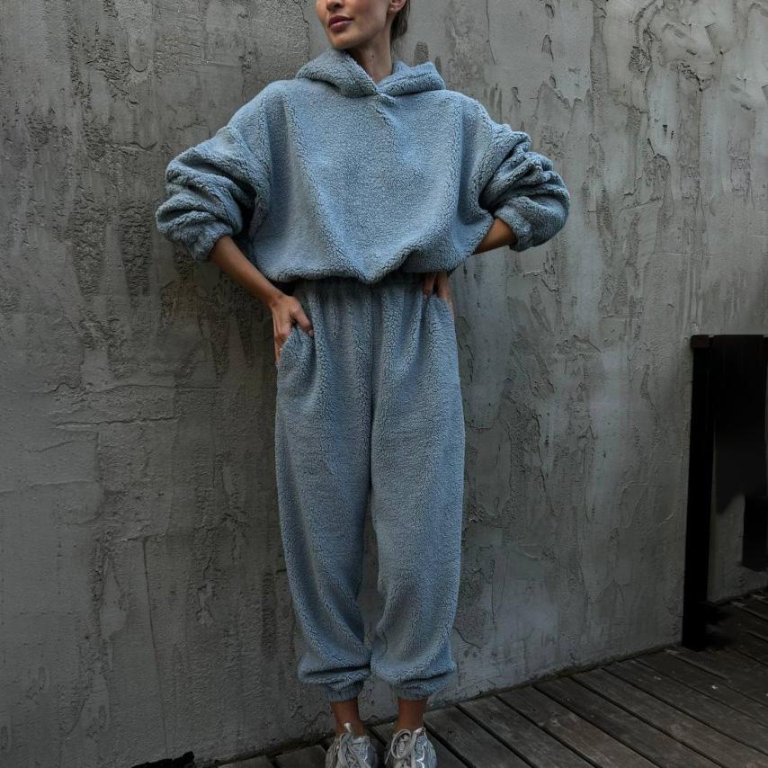 Women Solid Color Long Sleeve Hooded Hoodies Suit Autumn Winter Loose Top Wide Leg Pants