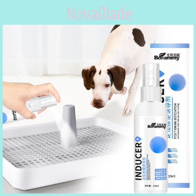 Effektives Stubenreinheitsspray für Hunde zur Standortführung für Urin und Kot