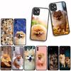 Funda Coque Cover for Apple iPhone 15 14 16 Plus XS 13 11 12 Pro Max XR X 16E ProMax Phone Case Pomeranian Dog