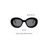 Celine Full Frame Design Oval Sunglasses Men Sunglasses Black CL40312U.