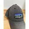 Used Patagonia Patagonia Cap