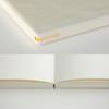 DESIGNPHIL MIDORI MD Blank with Notebook 15293006 Notebook, A5, Cover,