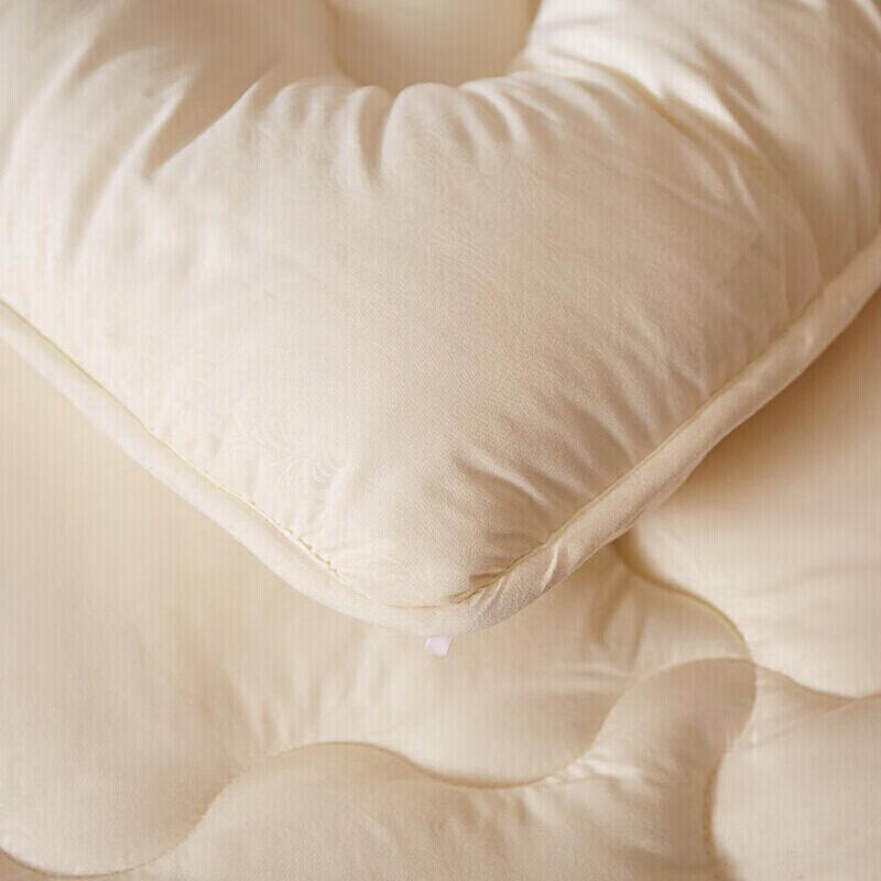 Hengyuanxiang Antibacterial Fiber Quilt