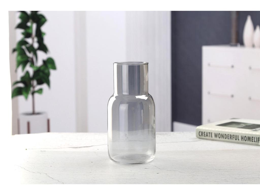 Transparent Minimalist Glass Vase for Office Decoration with Fresh or Dried Flowers