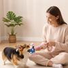 Dog Rope Chew Toy Squeaky Spiky Ball Cotton Rope Puppy Teething Toy Interactive Tug-of-War Toy Toy for Small And Medium Dogs Teeth Cleaning