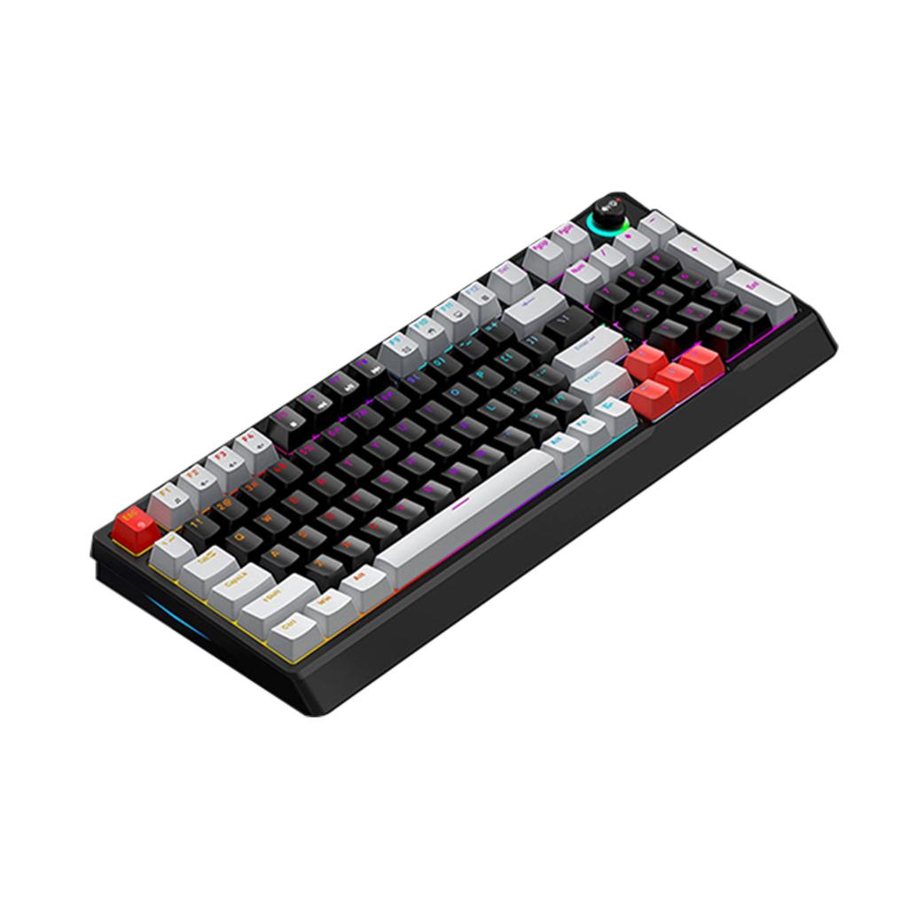 T WOLF T50 RGB Mechanische Tastatur 98 Tasten Hot-Swap Blue Switch mit Dynamischer Beleuchtung Ergonomisches Design für PC