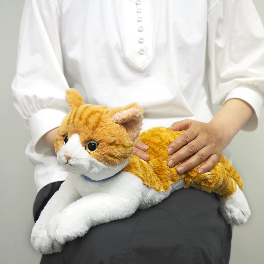 Sunlemon Lap Cat Chashiro Medium 47 x 16 x 18cm Plush Animal P-7802
