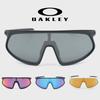 Oakley Reserve Sunglasses Rslv OO9484D
