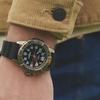 [Timex] Expedition Ridge Mountaineering Luminous Watch 42mm TW2V40600