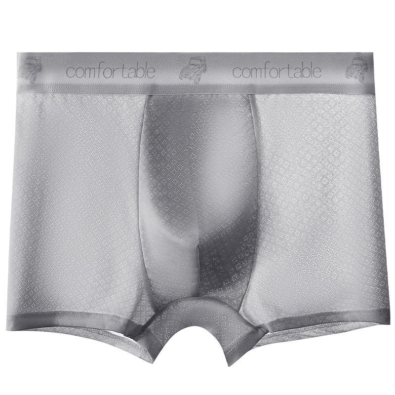 Teen Boys  Mesh Ice Silk Antibacterial Boxer Briefs: Trendy Sports Shorts 2XL