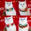 Hand-Knitted Wool Christmas Pet Snood Collar for Cats and Small Dogs