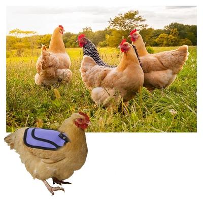 Adjustable Hen Saddle Feather Protector Waterproof Protection Tools Back Jacket Hen Protective Apron Chicken Saddle Pet Supplies