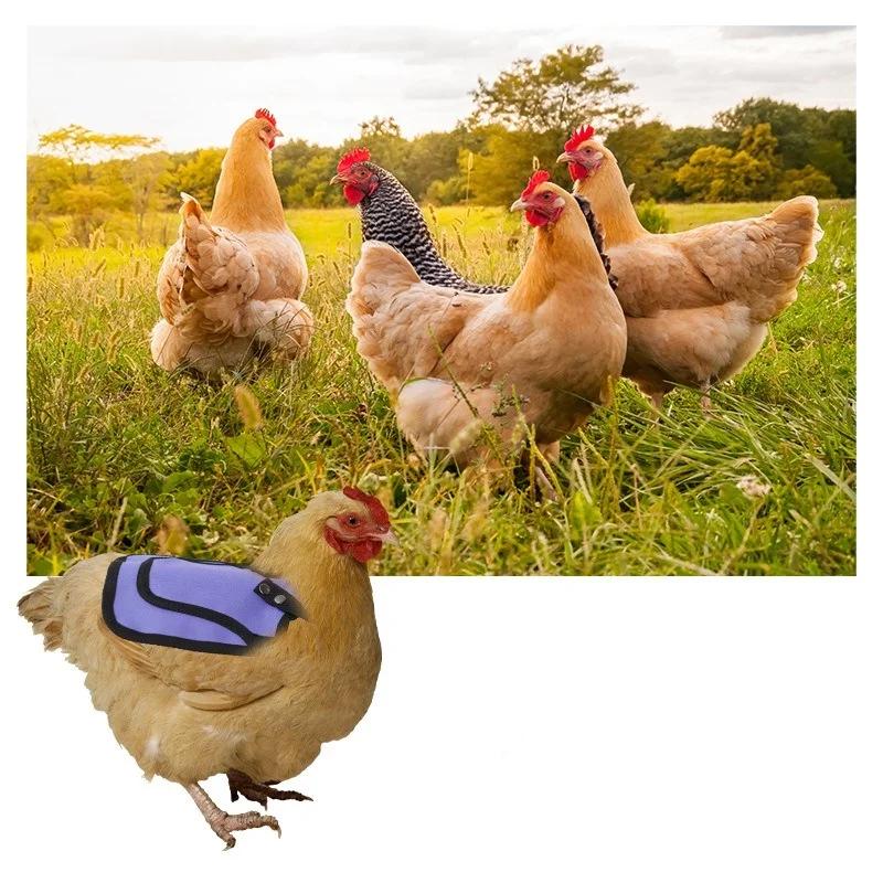 Adjustable Hen Saddle Feather Protector Waterproof Protection Tools Back Jacket Hen Protective Apron Chicken Saddle Pet Supplies