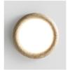 Natural Yellow Lime Hua LED Ceiling Light Creative Circular Light Wabi Sabi Ceiling Light  Dining Room Bedroom Decoration