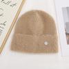 Women's Plush New Korean Knitted Hat for Autumn and Winter Versatile Warm Ear Protection Thickened Fashionable Wool Hat
