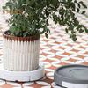 Plant Caddy with Wheels Plastic Plant Roller 360-degree Rotating Flower Pot Rollers with Drainage Tray Rolling Plant Stand