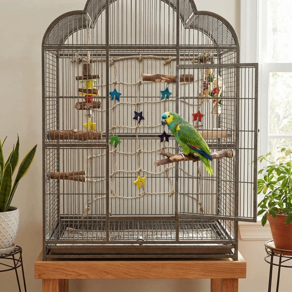 Hanging Parrot Climbing Net Colorful Star Bird Stand Net Creative Bird Swing Rope Indoor