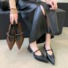 Frühling Herbst Spitzschuh Damen Pumps Mode Flach Niedriger Absatz Schuhe Damen Streetstyle Mary Jane Schuhe
