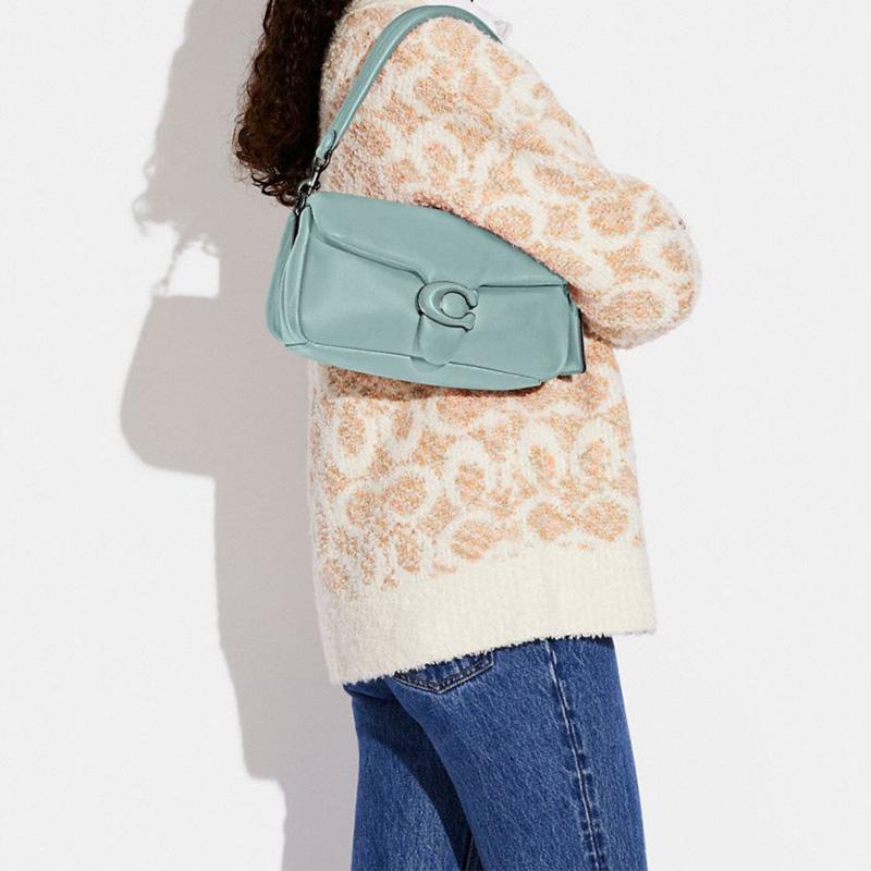 New COACH Tabby Leather Cloud Bag, Crossbody Underarm Pillow Bag, Shoulder Bag Women's Mint Green C0772-V5AQU