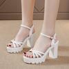 Platform Women's Ankle Buckle High-Heeled Sandals New Style Cross Strap Sandal Female 2026 Outdoor Thick Heel Sandalias Mujer