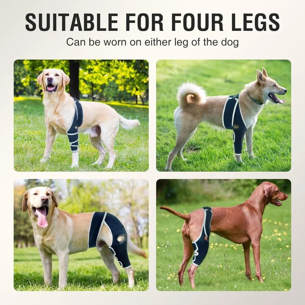 Dog Knee Brace for Torn ACL Hind Leg, Shoulder Dislocation for Older and Athletic Dogs, Front Leg Brace Support for Big Breeds