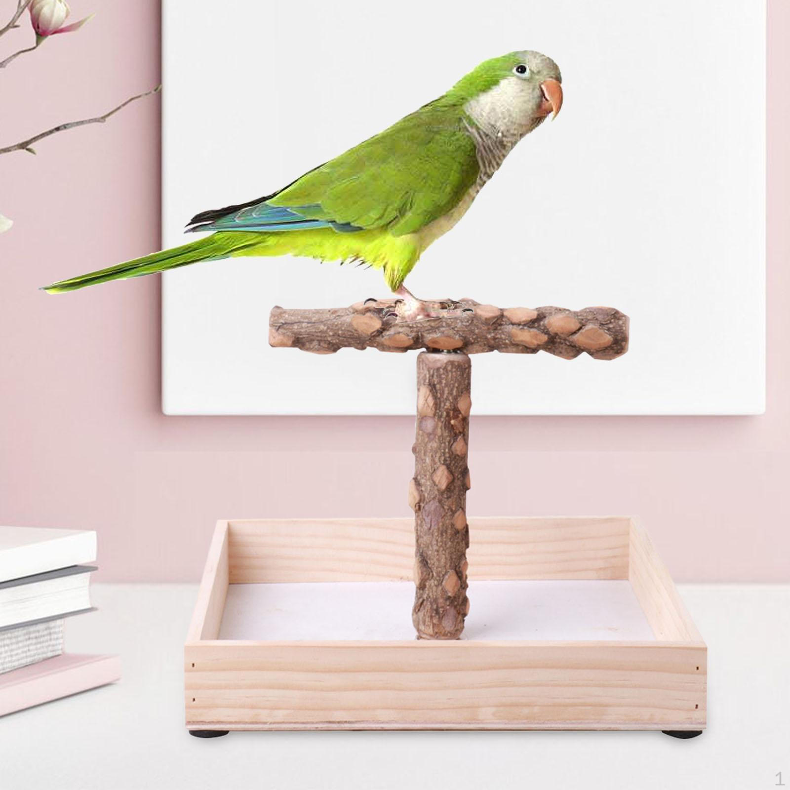 Bird Stand Perch Portable Birdcage Macaws Lovebirds Wood Tree Parrot for Exercise