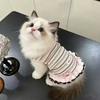 Dog clothes Autumn and winter rainbow striped dress Bigbear cat teddy Pomeranian small dog velvet pet vest