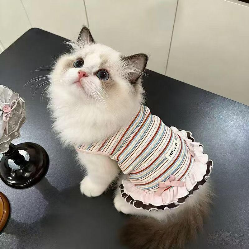 Dog clothes Autumn and winter rainbow striped dress Bigbear cat teddy Pomeranian small dog velvet pet vest