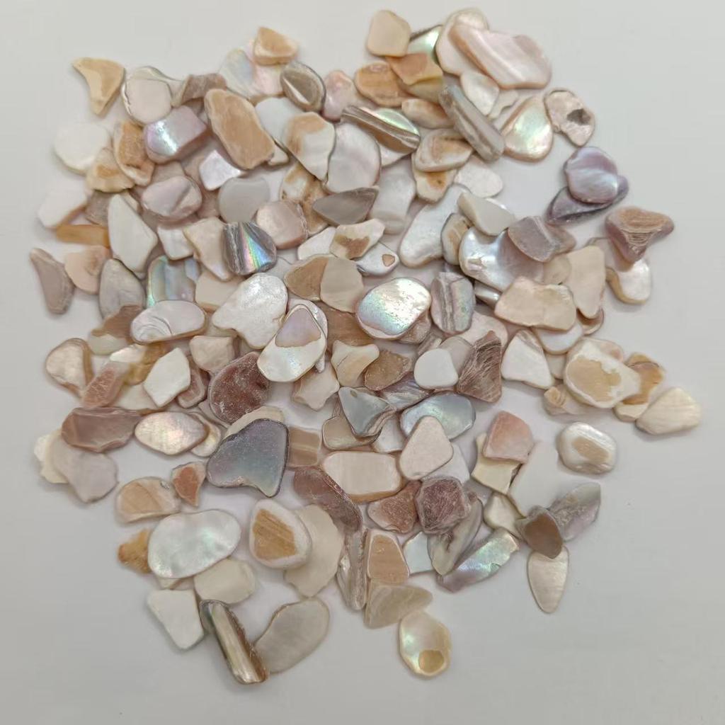 Piedras de Concha de Terrazzo Blanco y Negro de Nácar para Decoración de Acuario y Maceta