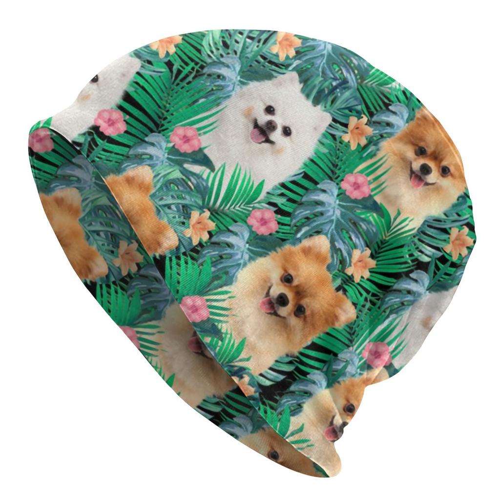 Winter Warmer süßer Pomeranian Deutscher Spitz mit Blumen Motorhaube Femme Beanie Mütze Hippie Haustier Hund Outdoor Ski Skullies Beanies Cap