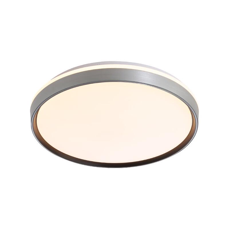 Modern Decorative LED Ceiling Lamp