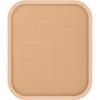 Est Illuminating Powder Foundation BE300 10g