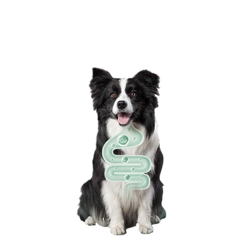 

Wanpy Adult Small Dog Food