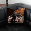 Anime Racing IInitial D Cushion Cover Pillow Case Antidustmite Invisible Zipper Silky Plush Cushion