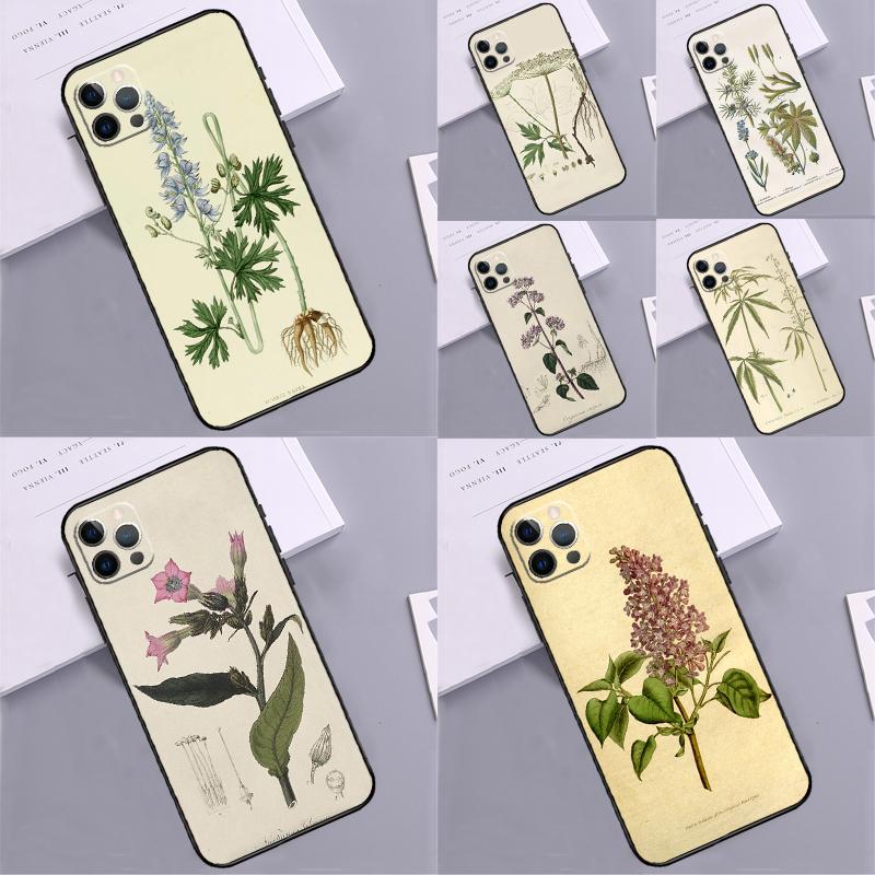 Botanical Drawings Flowers Plants Bumper Case For iPhone 16 14 15 Pro Max 11 12 13 Pro Max Mini XR 16e 16 15 Plus Phone Cover
