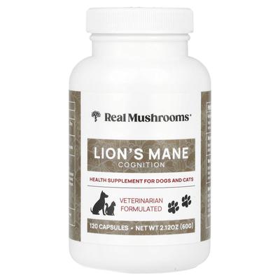 Deer Antler Mushroom, for Dogs and Cats, 120 Capsules