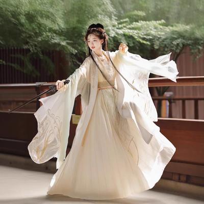 Song Dynasty Martial Arts Style Ancient Clothing Super Fairy Big-sleeved Shirt Waist-length Skirt Set Improved Daily Autumn