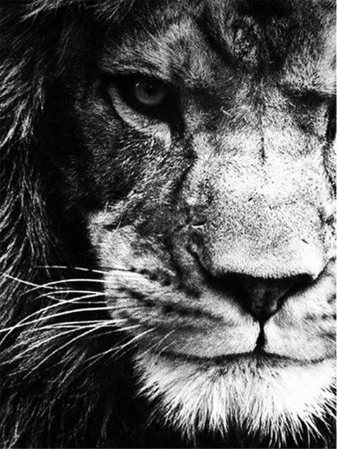 Broderie cu diamante 5D cu punct de cruce Wolf Diamond Art Painting Mozaic alb-negru Cadou lucrat manual