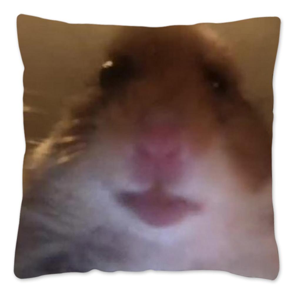 Funny Hamster Meme Pillow Cover Home Decor Polyester Cushion Cover for Sofa Car Cute Pillow Case Cojines Decorativos Para Sofá