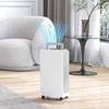 12L Portable Touch Dehumidifier with Drain Hose, Timer and Filter, In ABS, 28x18x50.6 Cm, White