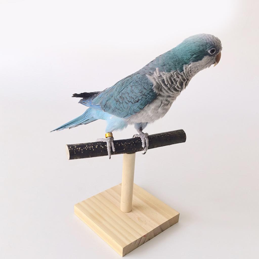 Vtáčie bidlo Prírodné drevené stojan pre papagáje Conure Potreby pre andulky Brúska Škrabadlo pre malé stredné papagáje Stojan Hračka