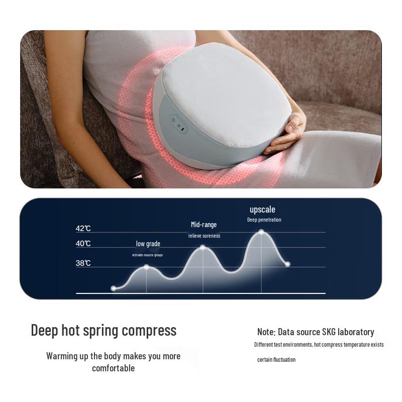 SKG 8502 Waist & Back Massager