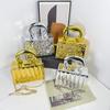Damenhandtaschen Acryltaschen 2025 neue europäische und amerikanische Mode Eisriss-Textur Damen Umhänge-Kasten-Tasche