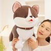 25/35cm Glückshund Puppe Stofftier Plüschtier Handgemachte Puppe Cartoon Anime Niedliches Kissen Kissen Lustiges Kindergeburtstagsgeschenk Puppe
